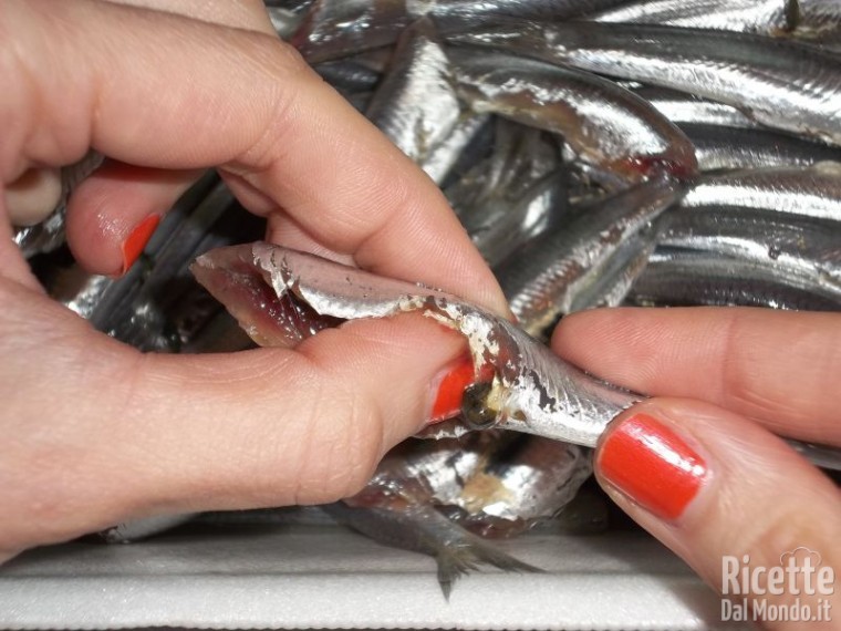 Alici Marinate