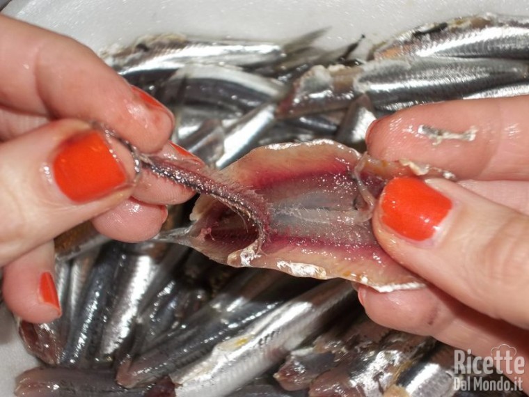 Alici Marinate