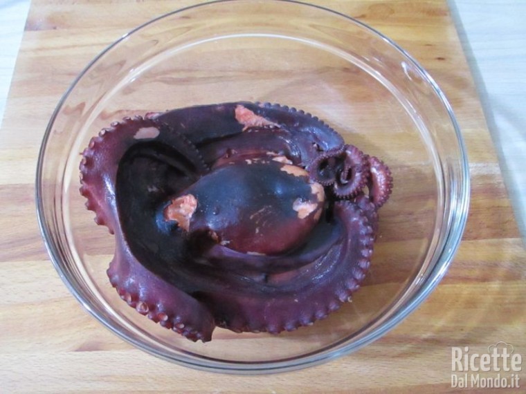 Carpaccio freddo di polpo 5