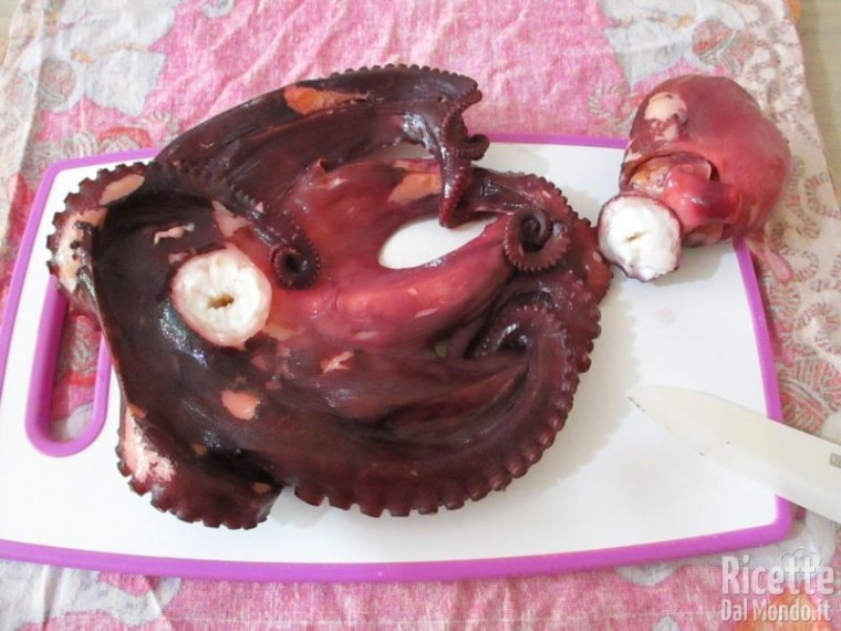 Carpaccio freddo di polpo 7