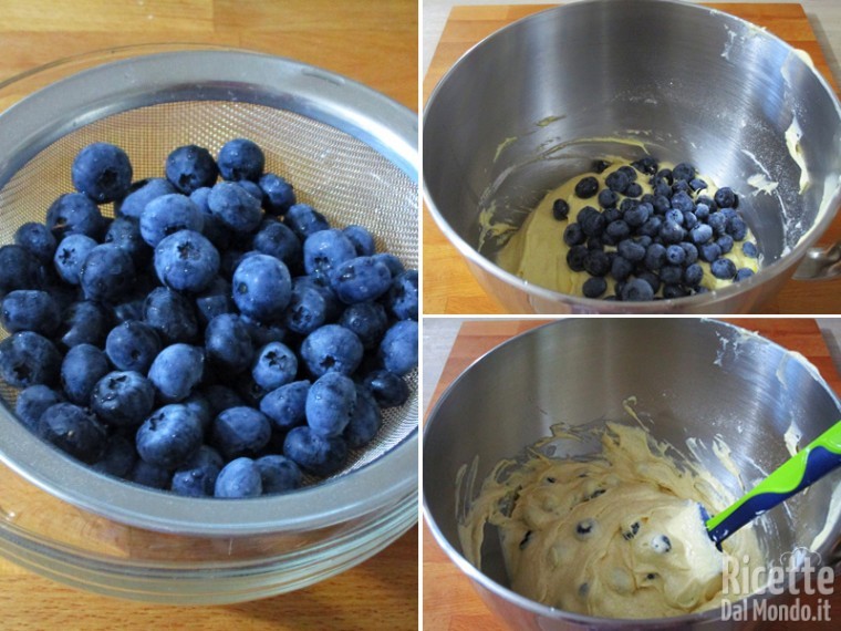 Blueberry muffin 4