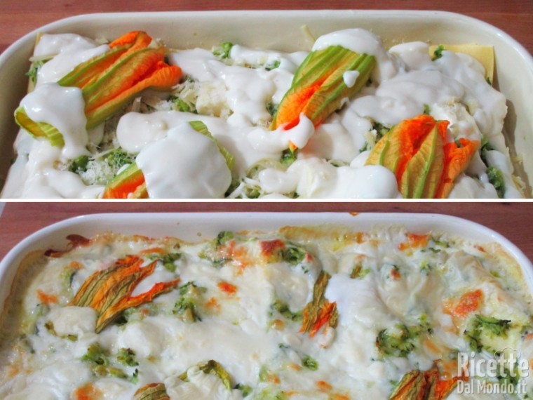 Lasagne zucchine e fiori 6