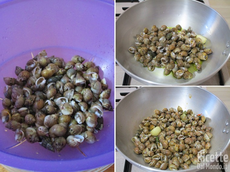 Cuocere le lumache di mare