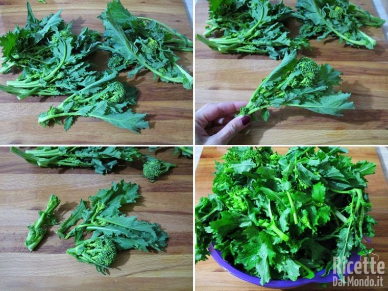 Orecchiette alle cime rapa 2