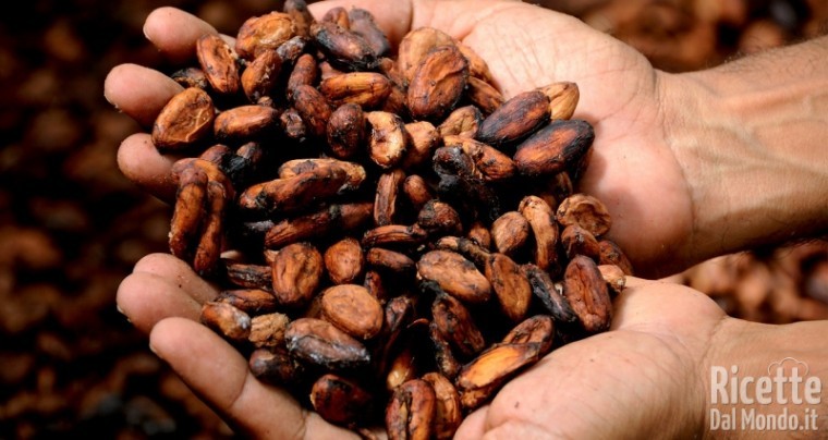 Fave di cacao