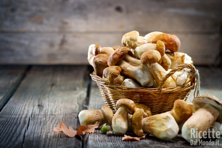 10 varietà di funghi: i porcini