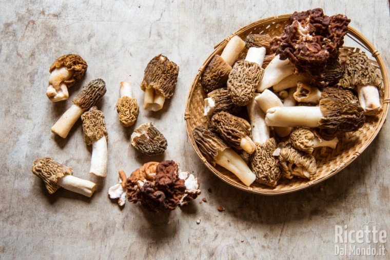10 varietà di funghi: le morchelle o spugne