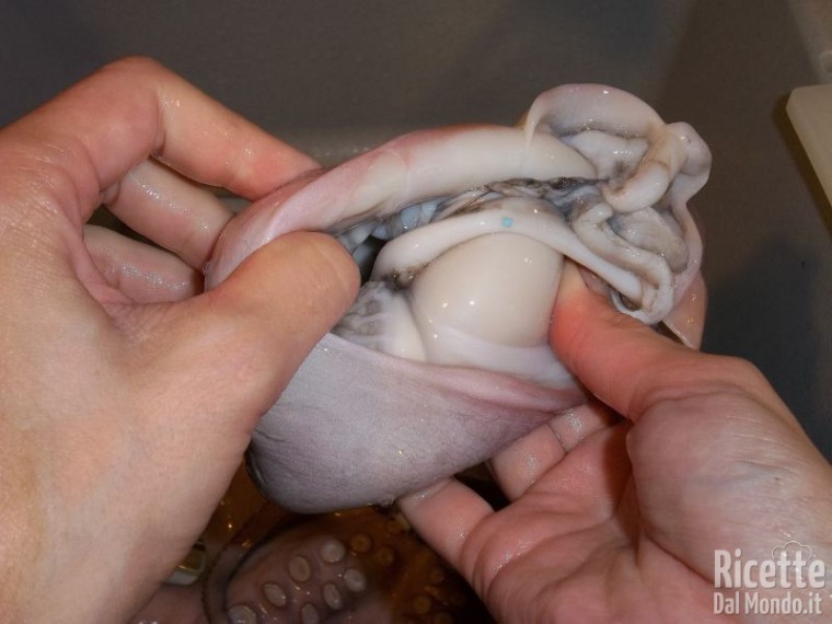 puliziaPolpo04