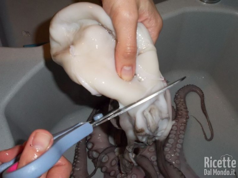 puliziaPolpo06