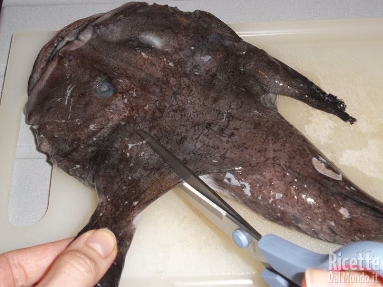 Come Pulire la Rana Pescatrice