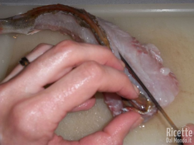 Come Pulire il Coccio (o Gallinella) 8