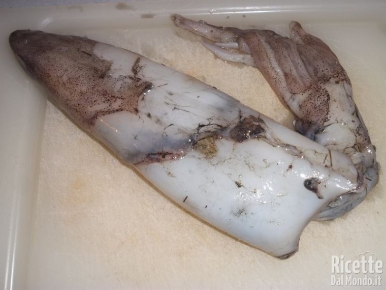Come Pulire i Calamari 2