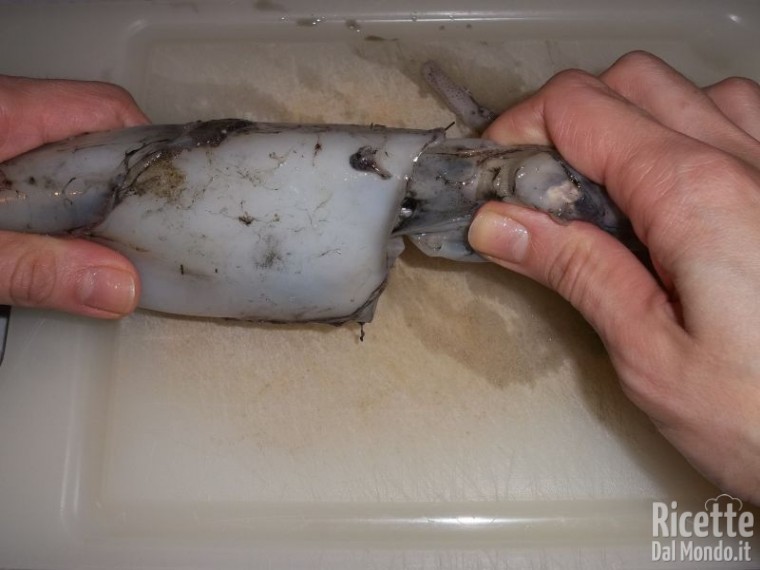 Come Pulire i Calamari 3