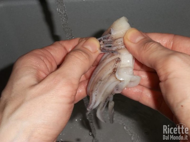 Come Pulire i Calamari 13