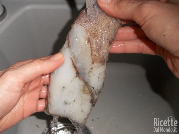 Come Pulire i Calamari 6