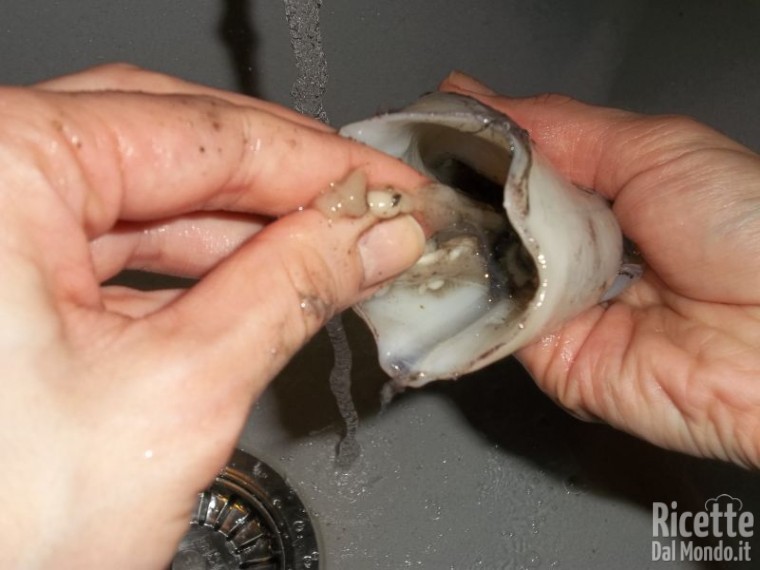 Come Pulire i Calamari 7