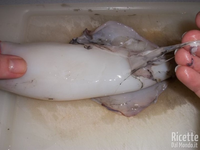 Come Pulire i Calamari 8
