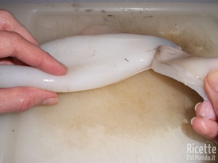 Come Pulire i Calamari 9