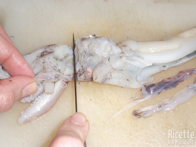 Come Pulire i Calamari 10