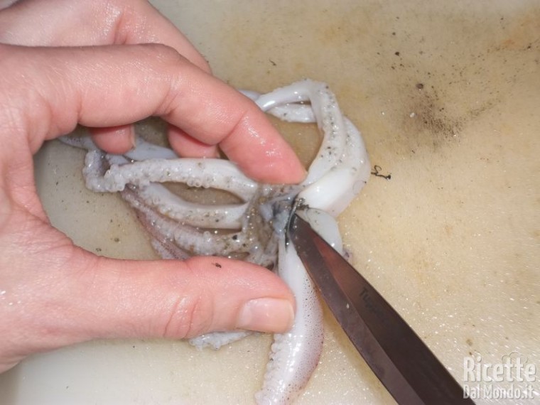 Come Pulire i Calamari