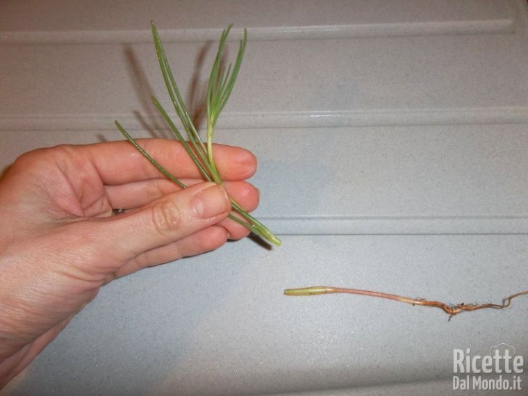 Come Pulire gli Agretti (o Barba di Frate)