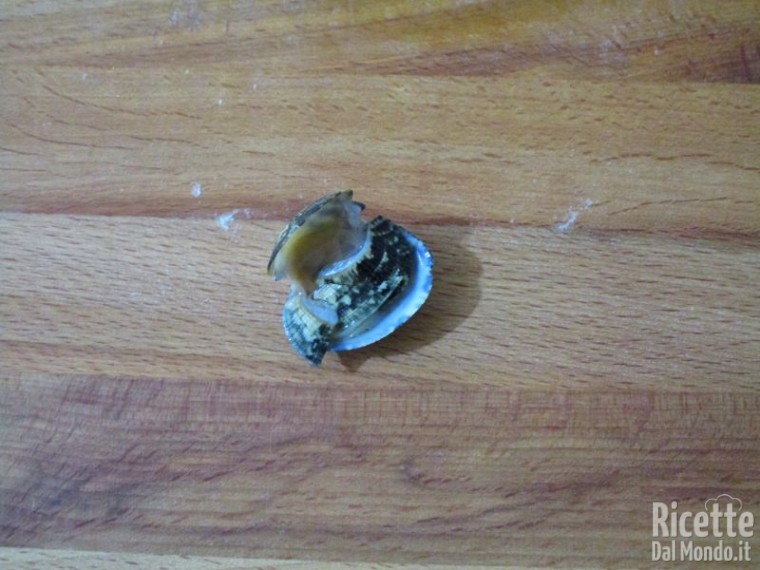 Come pulire le vongole 2