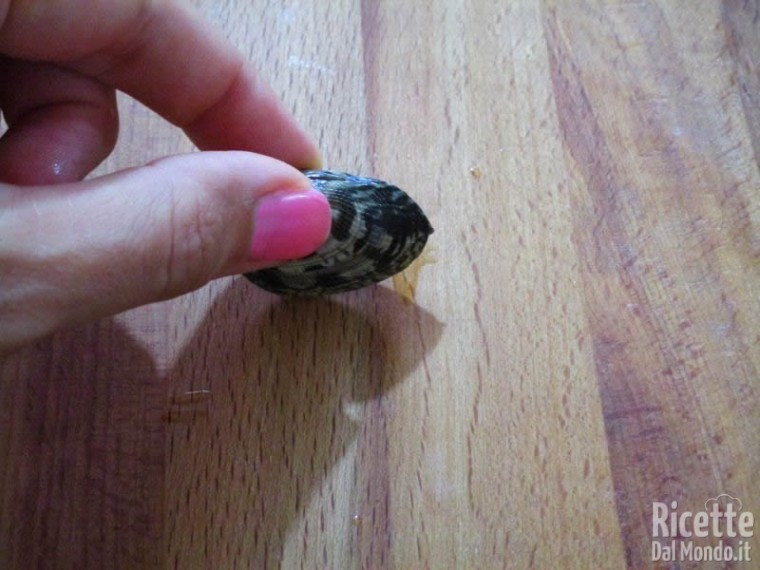 Come pulire le vongole 3