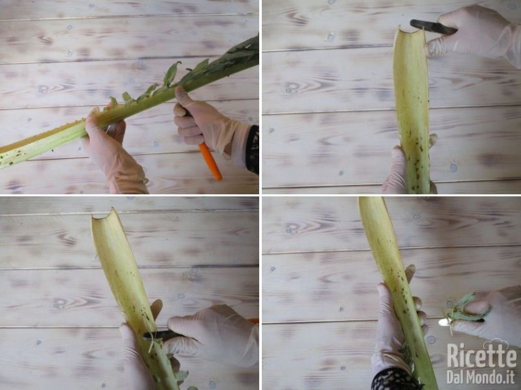 Come pulire il cardo 6