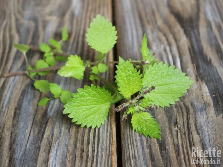 Come cucinare le ortiche 3