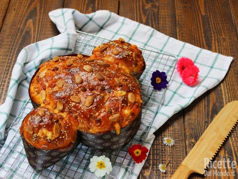 Ricetta colomba salata