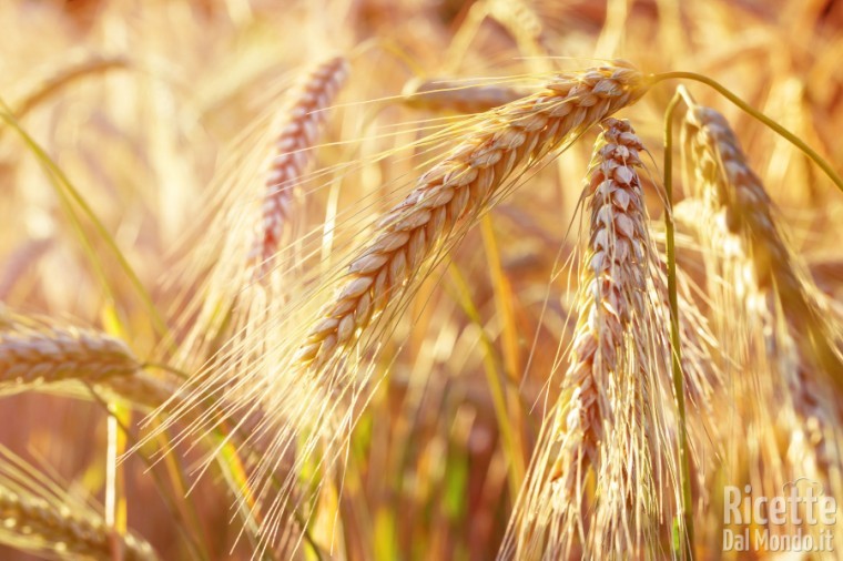 Come usare la farina di farro: come sceglierla e conservarla