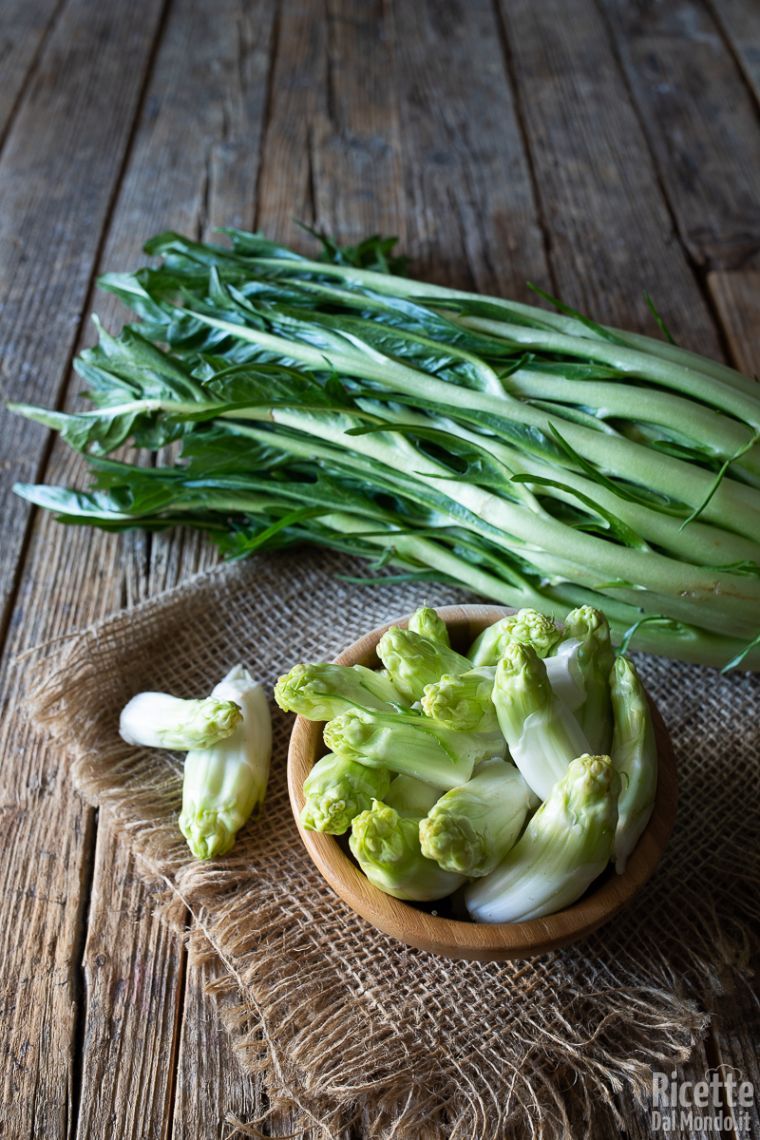 Come Pulire Le Puntarelle Della Cicoria Catalogna