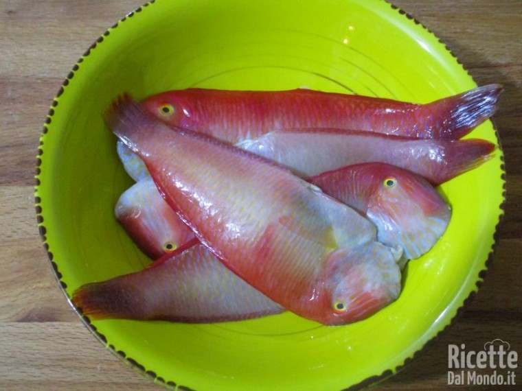 Frittura di pesce pettine 2