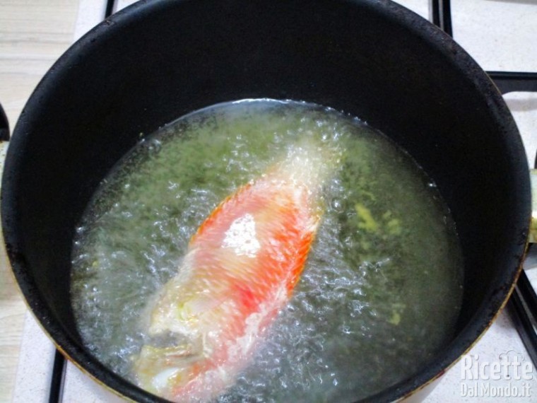 Frittura di pesce pettine 5