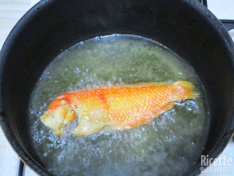 Frittura di pesce pettine 6