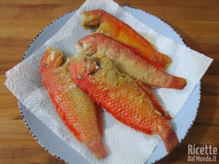 Frittura di pesce pettine 7