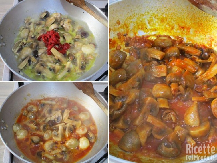 Funghi misti in umido 4