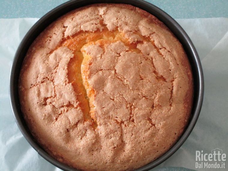 Torta Molly 8