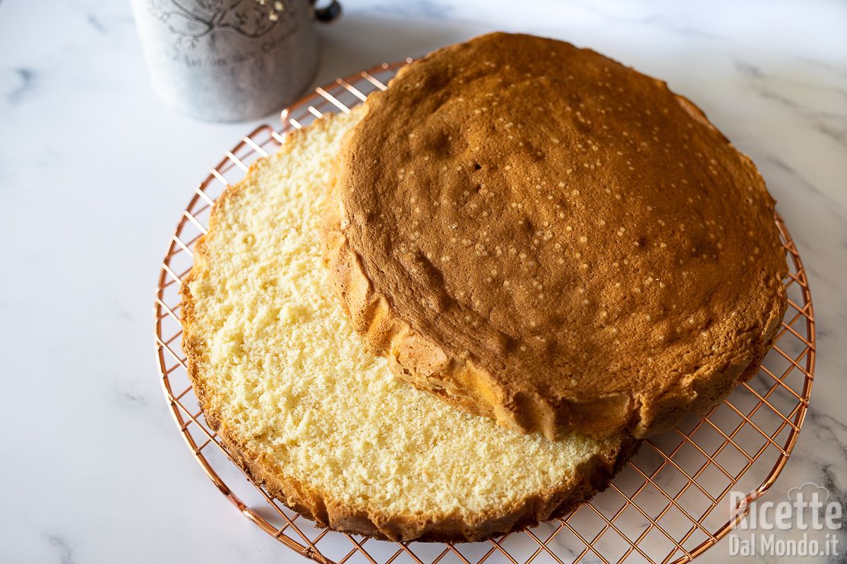 Ricetta Molly cake, la ricetta originale ideale come base per torte farcite!
