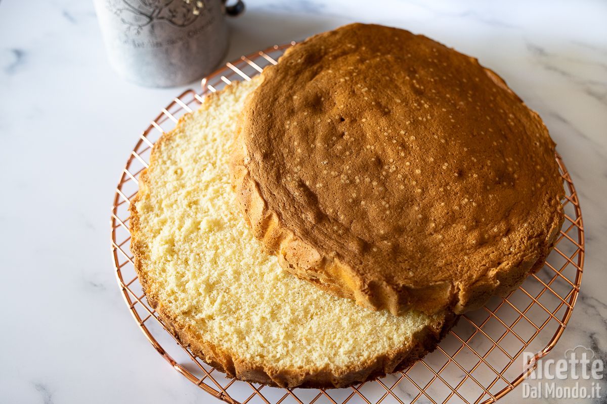 Molly cake. La ricetta originale per fare una base per torte farcite!