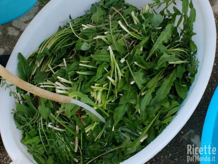 Minestra Di Natale.Minestra Maritata Campana Ricettedalmondo It