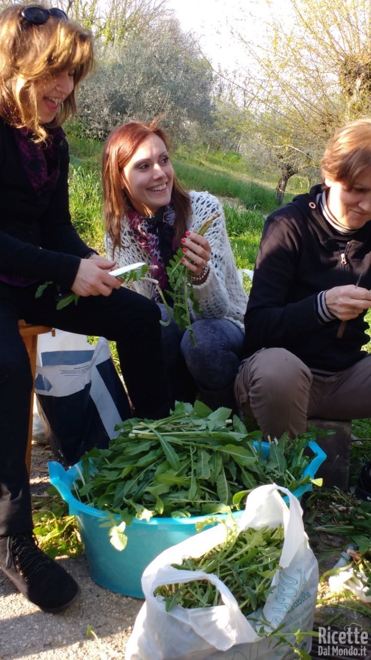 Minestra maritata - Marianna Pascarella