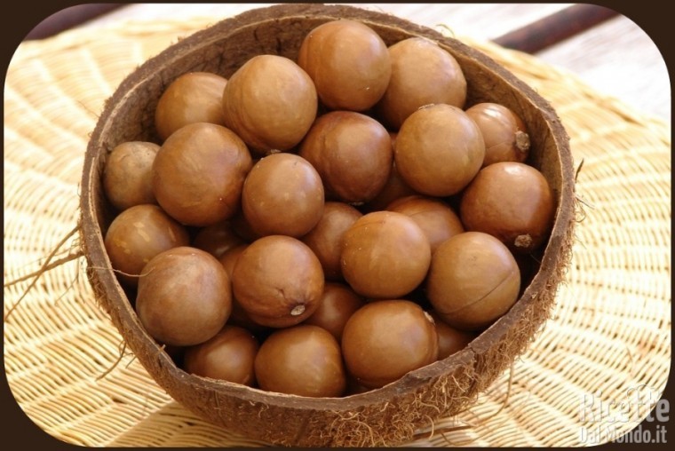 Noci macadamia: la frutta secca che non ti aspetti