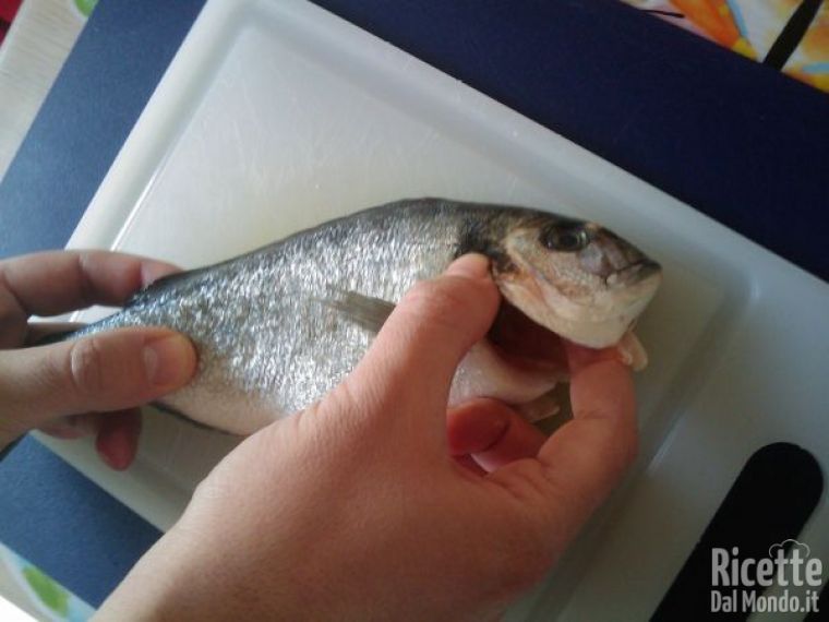 Pulizia Pesce