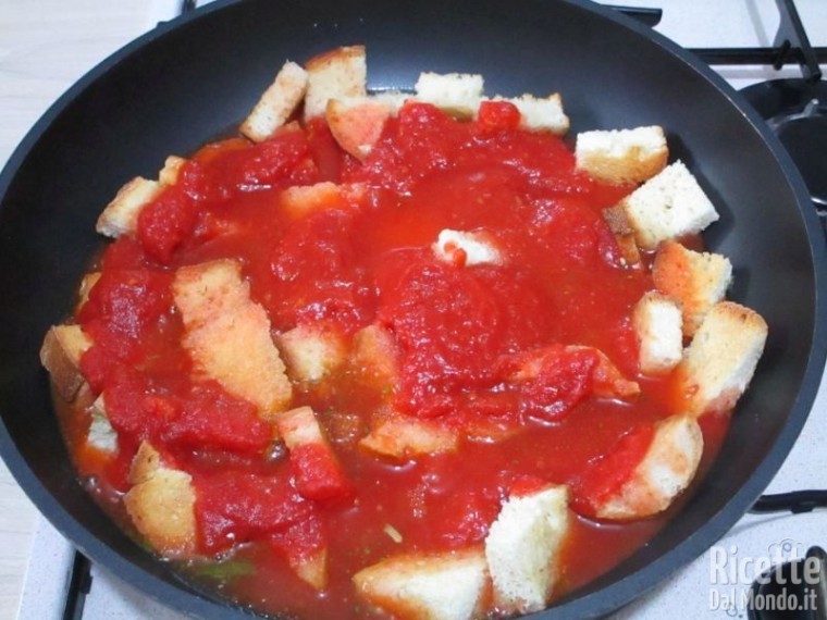 Pappa con il pomodoro 11
