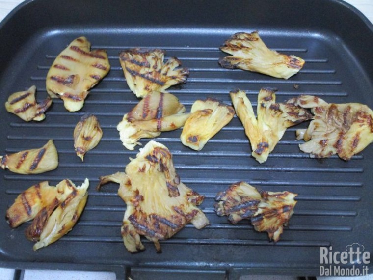 Pleurotus arrostiti 5