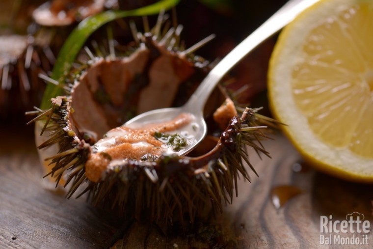 Puglia - ricci di mare