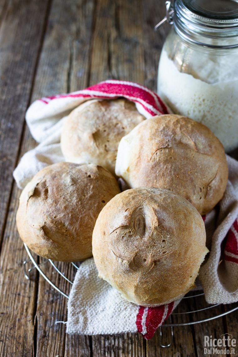 Ricetta panini rustici con lievito madre