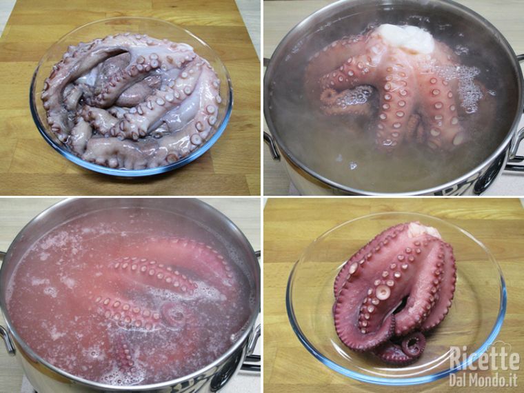Pulire e scottare il polpo