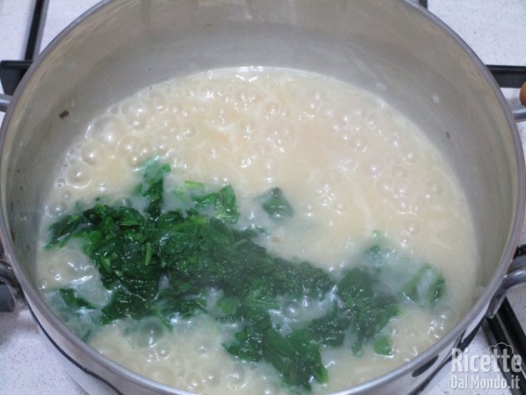 Risotto agli spinaci 8